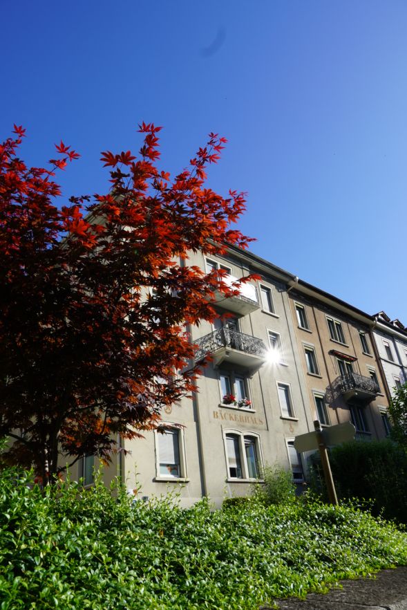 Wer wird unser neuer Nachbar? Raum für Büro, Praxis oder Wohnen